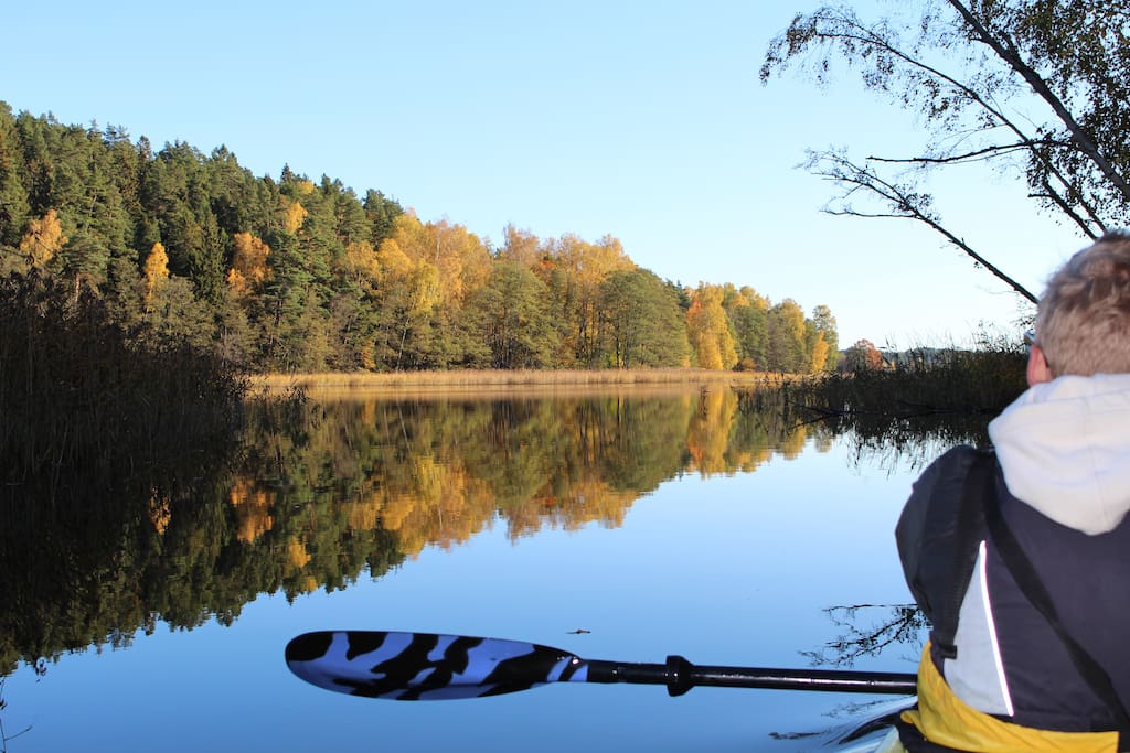 Book a guided kayak tour or just rent a kayak
