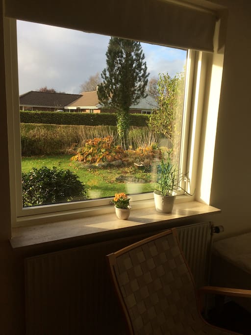 Udsigt fra værelset.