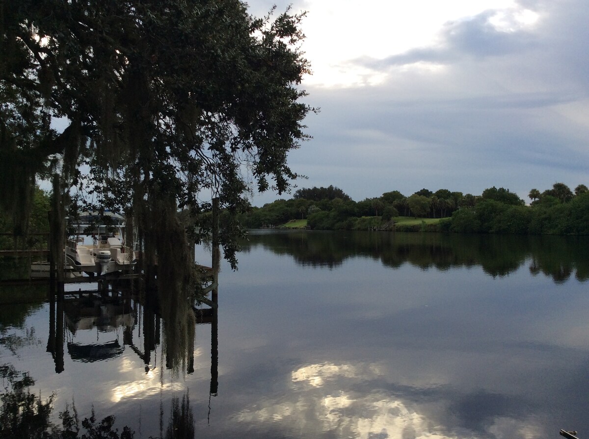 A calm river scene reflects the overcast sky, framed by lush greenery and tree branches. A dock can be seen extending over the water, enhancing the peaceful ambiance of the natural surroundings.