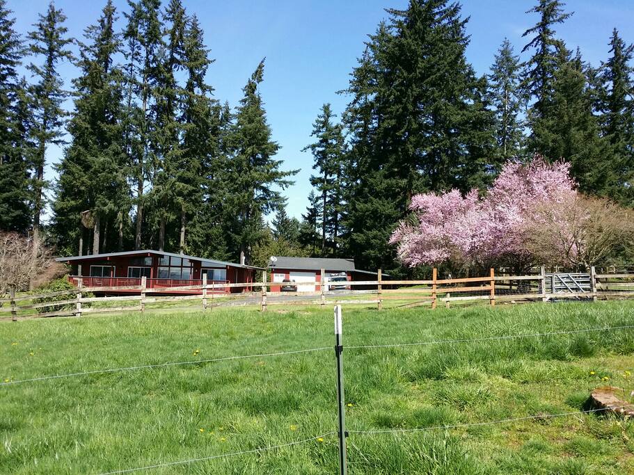 Pinecone Ridge, a peaceful & restful getaway.