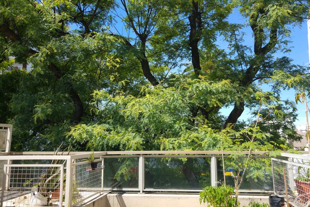 Habitación con Terraza