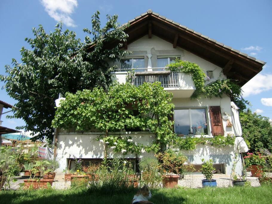 Das Haus im Grünen. Das Zimmer ist im oberen Stock.