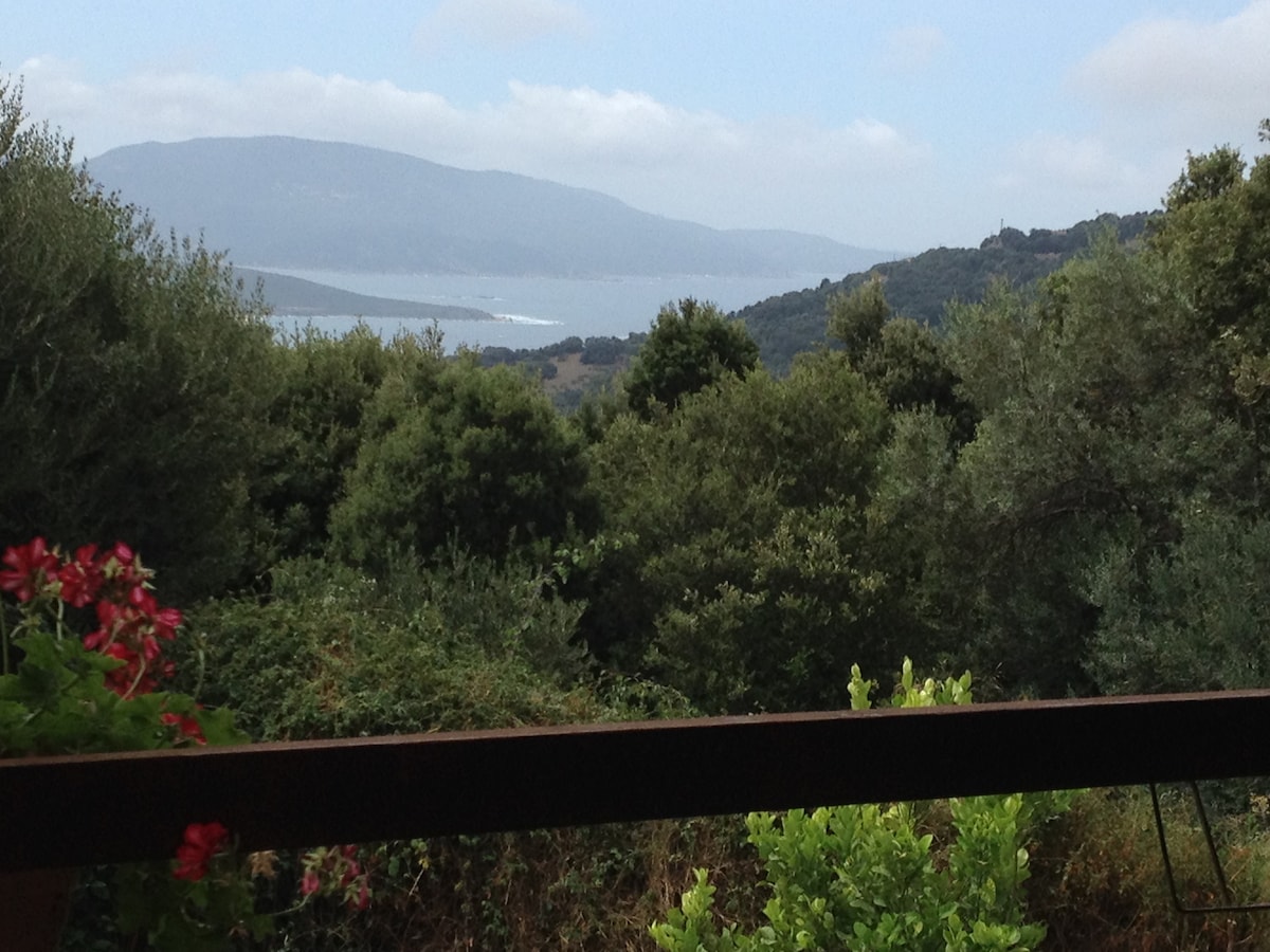 A view of a landscape featuring rolling hills and lush greenery, with distant mountains partially obscured by clouds. The foreground is adorned with vibrant flowers, adding color to the scene. The serene atmosphere is enhanced by the sight of the tranquil waters beyond the hills.