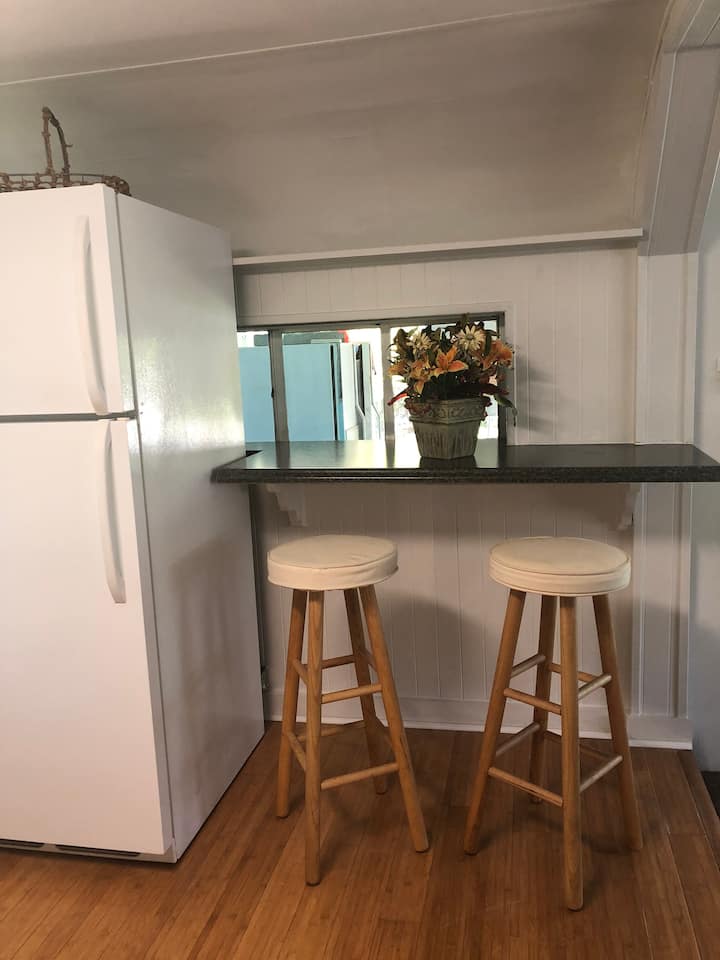 Newly Remodeled My House Is Your House - Hudson, FL