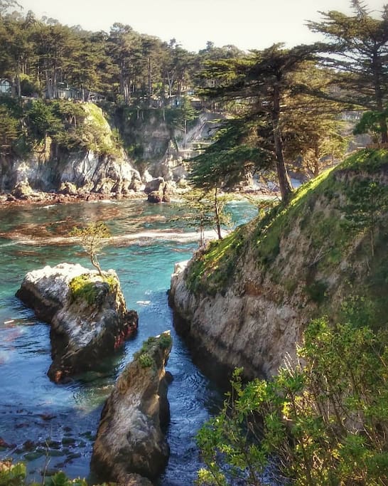 Point Lobos hike just minutes from the house.