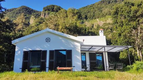 Forest House - 100% Solar