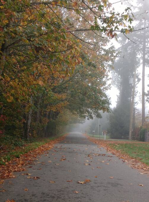 The road in.
