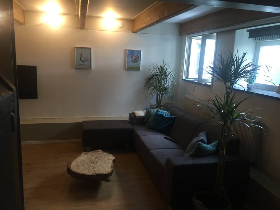 appartement 2 woonkamer