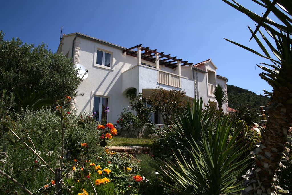 House & garden