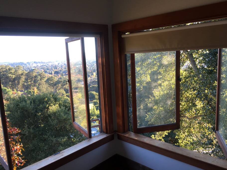 bay windows