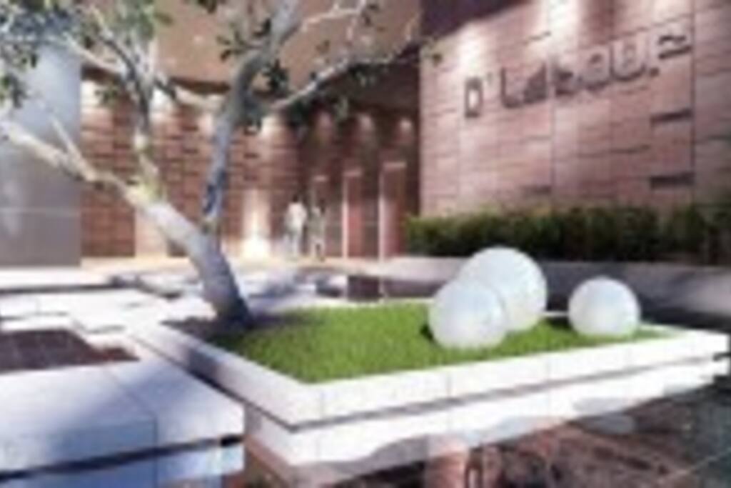Stylish Reflective Pond