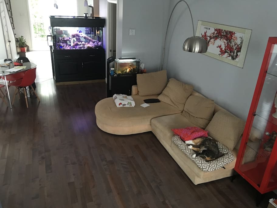 Living room Salon