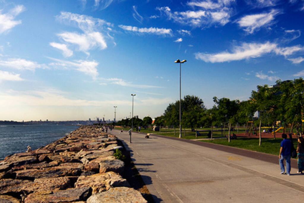 moda coast