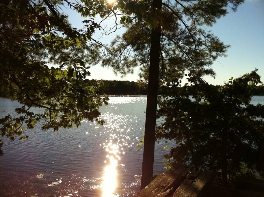 View from Back Patio
