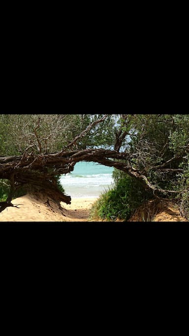 Walk way to Silverleaves beach