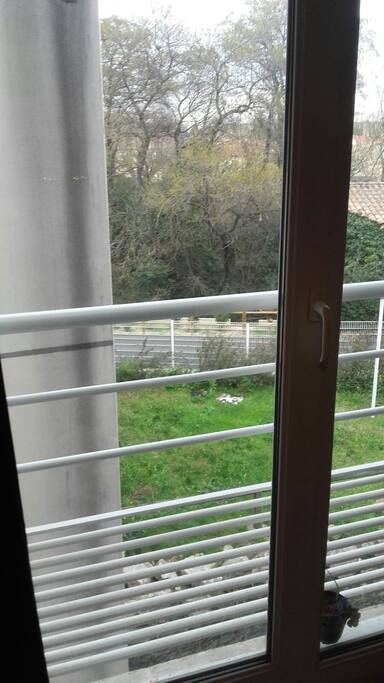 jardin et ruisseau