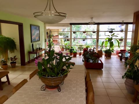 The TROPICAL ORCHID Villa