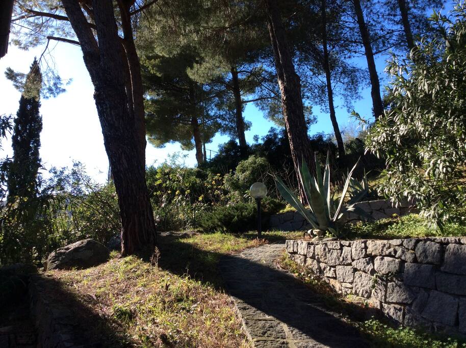 Ingresso della casa