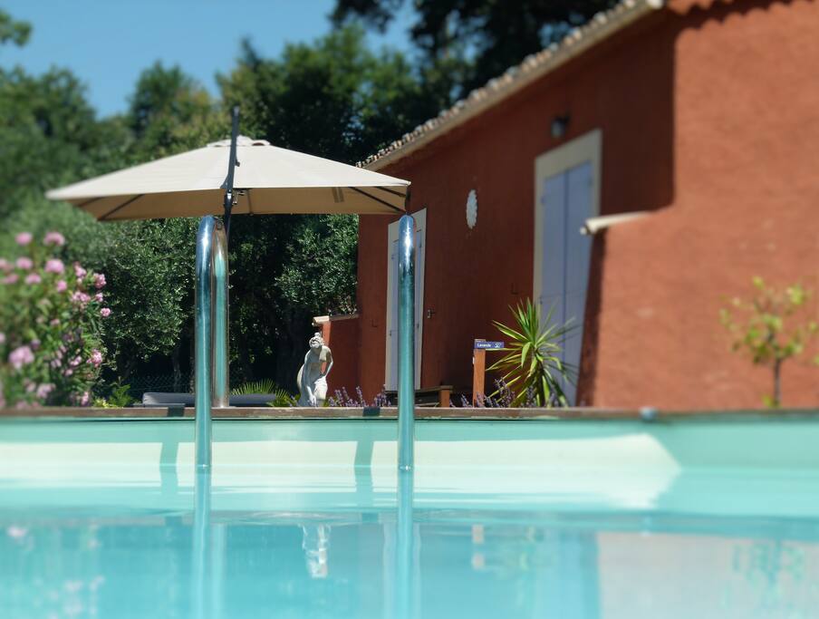 Piscine et terrasse du Gite Mimosa