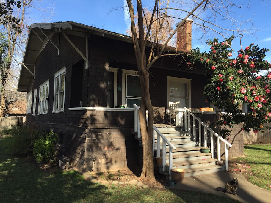 Large corner lot in quiet neighborhood.