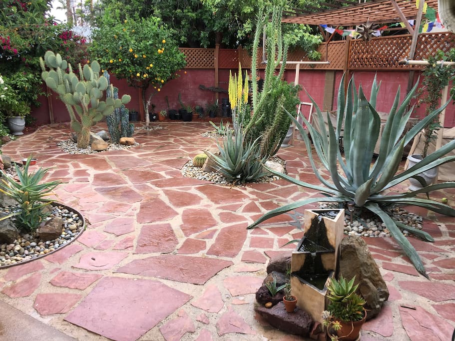 Cactus garden