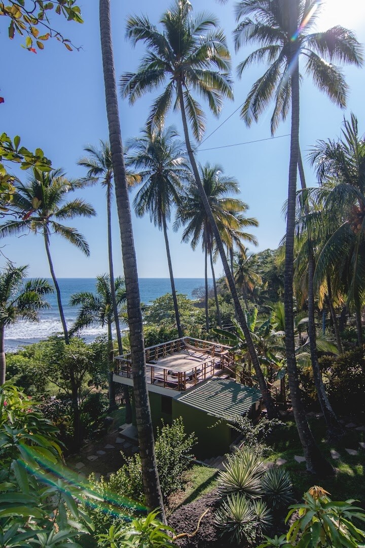 A lush green landscape is framed by tall palm trees, leading to a deck with panoramic ocean views. The calm waters are visible in the distance, surrounded by natural beauty. Sunny skies create a bright atmosphere, enhancing the tranquil setting.