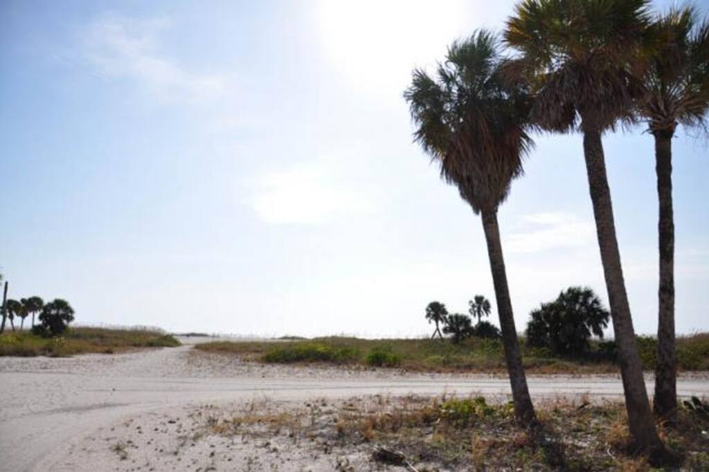 Path to beach
