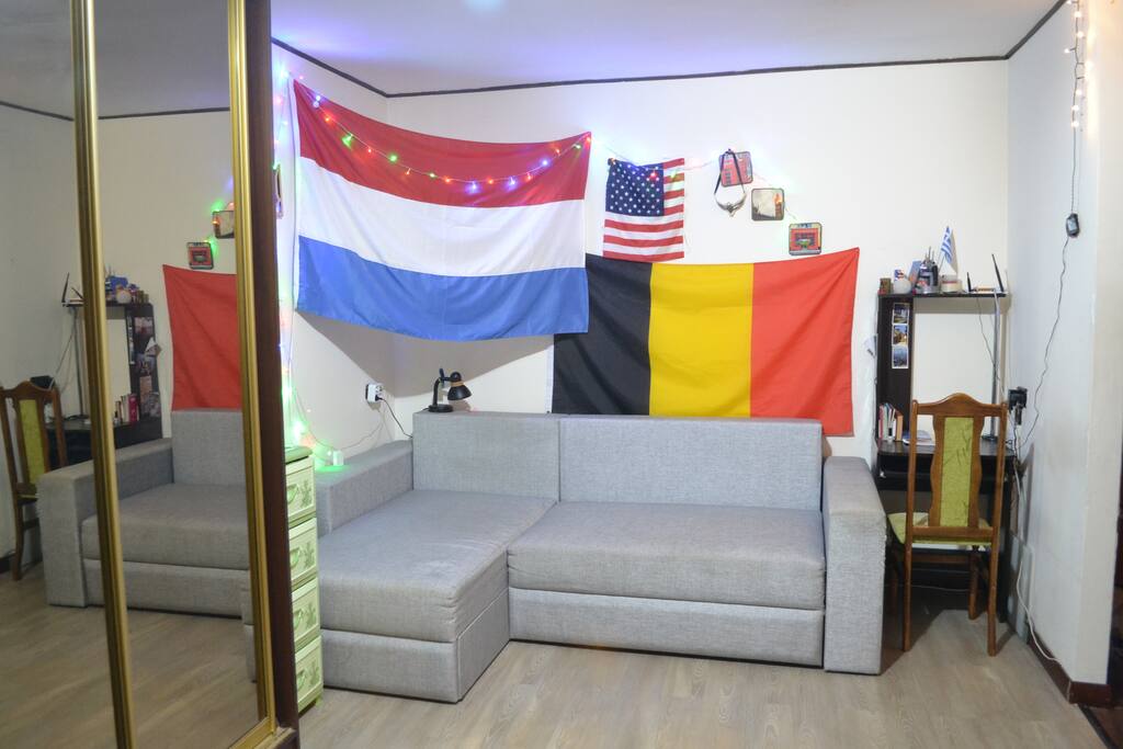 Living room/Bedroom