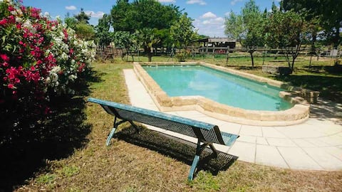 Rural gîte in Petite Camargue with pool