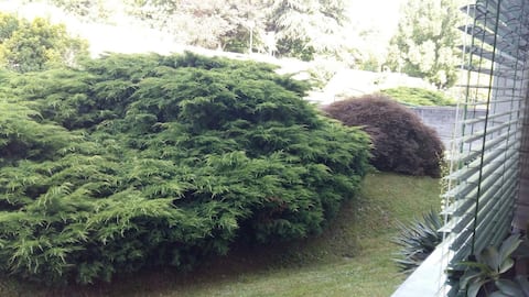 Stanza accogliente in appartamento!