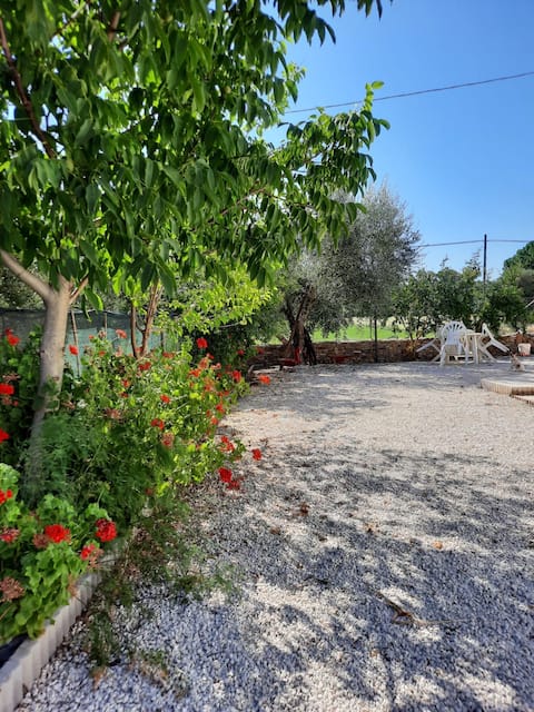 Angelo's Country House (Casavacanze)
