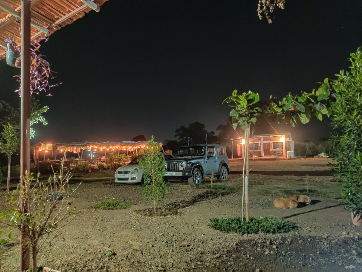 At night, the scene is illuminated by soft outdoor lights, highlighting parking spaces for vehicles. Nearby, trees and shrubs are visible, with a dog resting on the ground. In the background, structures are softly lit, creating a welcoming atmosphere.