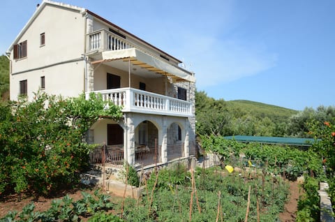 Apartments Bumba No.3