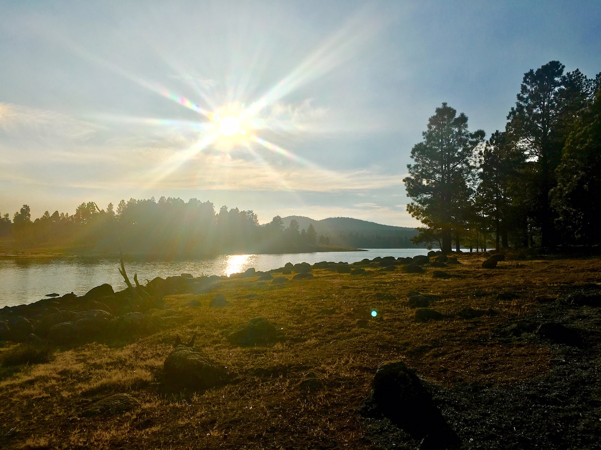 A serene lakeside scene is captured, featuring gentle ripples on the water's surface. Sunlight filters through the trees, creating a soft glow. The foreground includes rocks and grass, leading to the water's edge, while distant hills are visible under a clear sky.