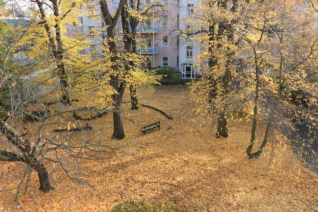 The view from your room to the yard in autumn