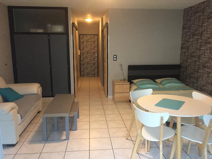 Appartement Saint Jean Apartments for Rent in Metz, Grand Est, France