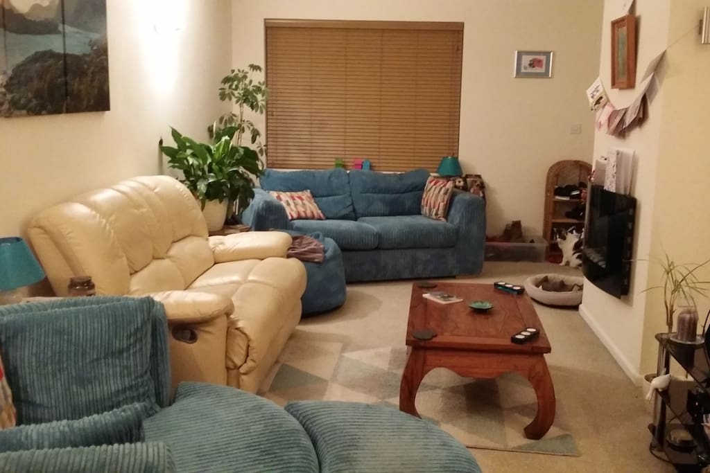 Living room with a choice of comfortable seating!