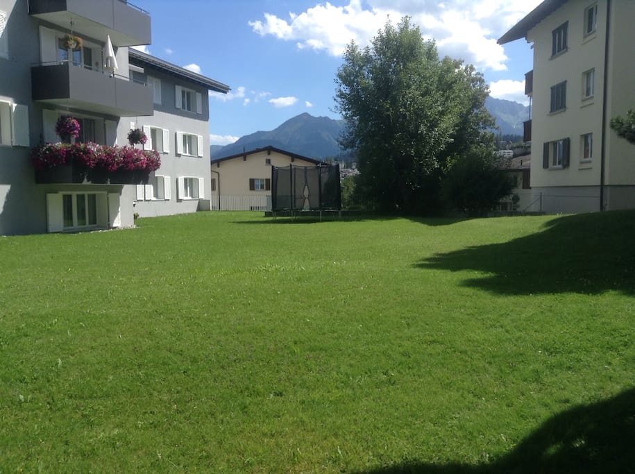 communal garden