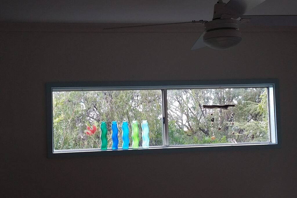 This window lets so much light into the living area. It's great when the bottlebrush outside is in bloom!