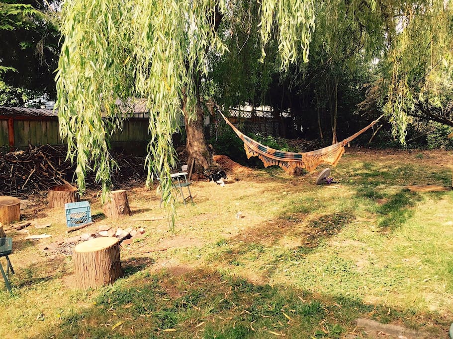 Backyard