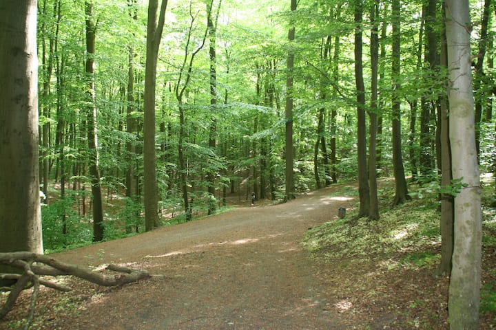 Individuell Im Grünen - Kilonia
