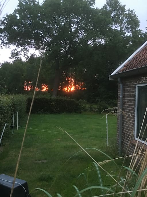 Watch the sun come up