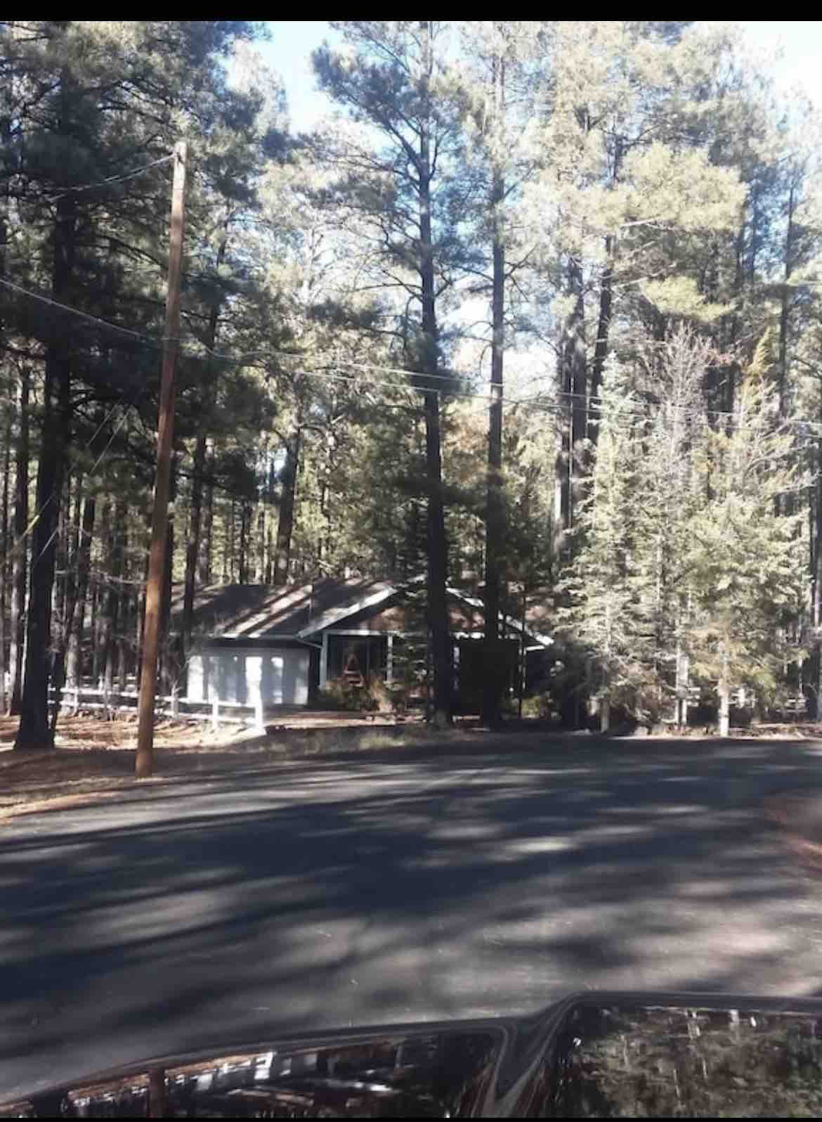 A charming cabin is nestled among tall pine trees, providing a sense of privacy and tranquility. The surrounding natural landscape features greenery and foliage, while the road curves gently, inviting further exploration of the area.