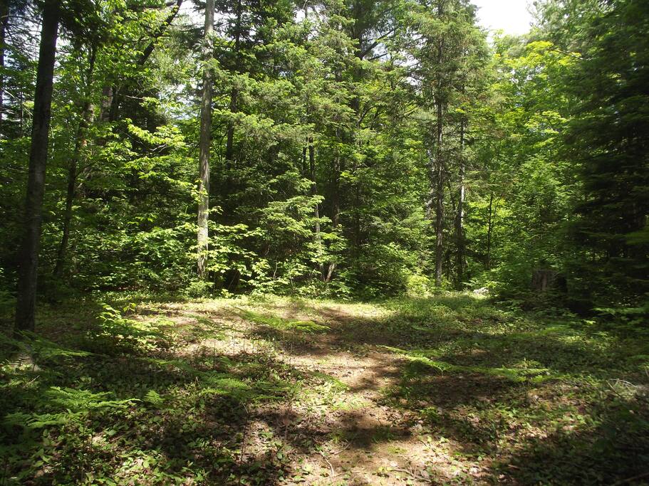 Clean flat camping. We provide 2 tents & 4 sleeping bags.