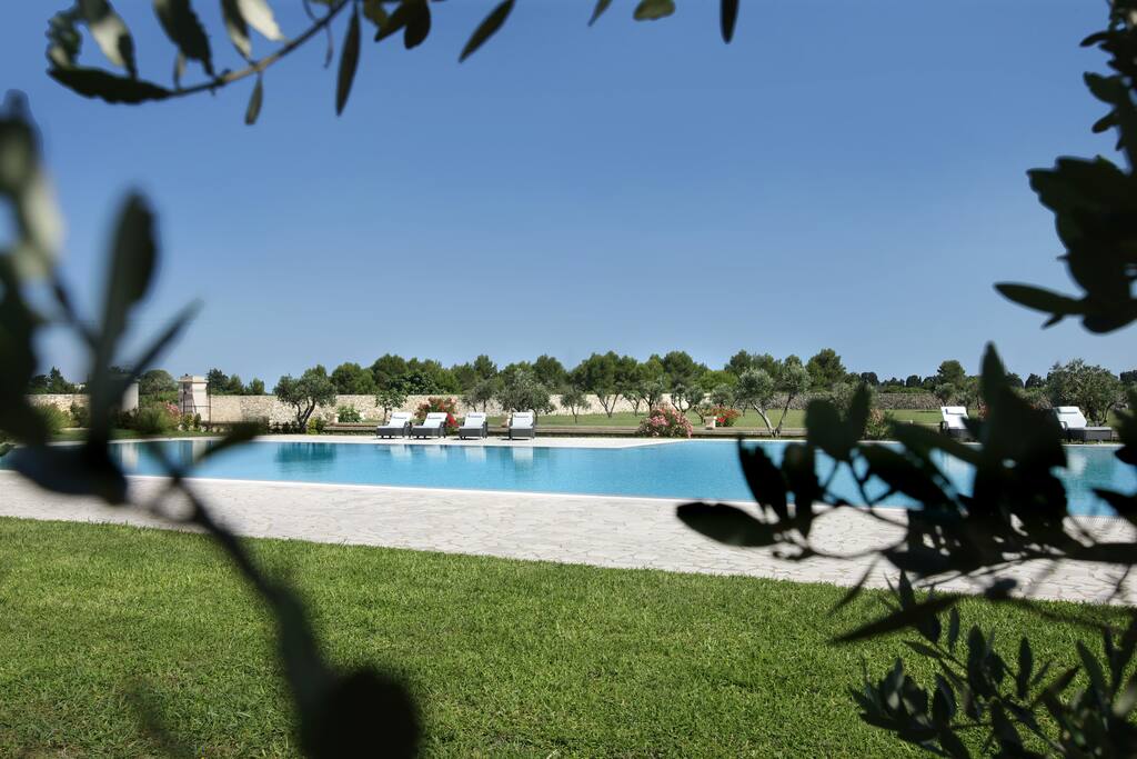 Piscina e ulivi