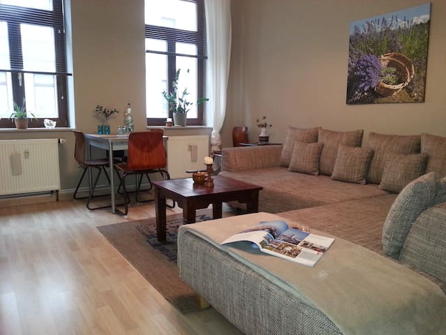nice apartment close to the center
