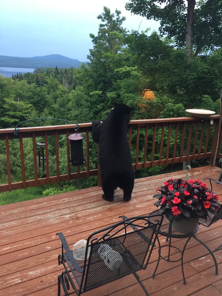 WINTERFELLNH BEST 1ST CT LAKE AND MOUNTAIN VIEWS Cabins for Rent in