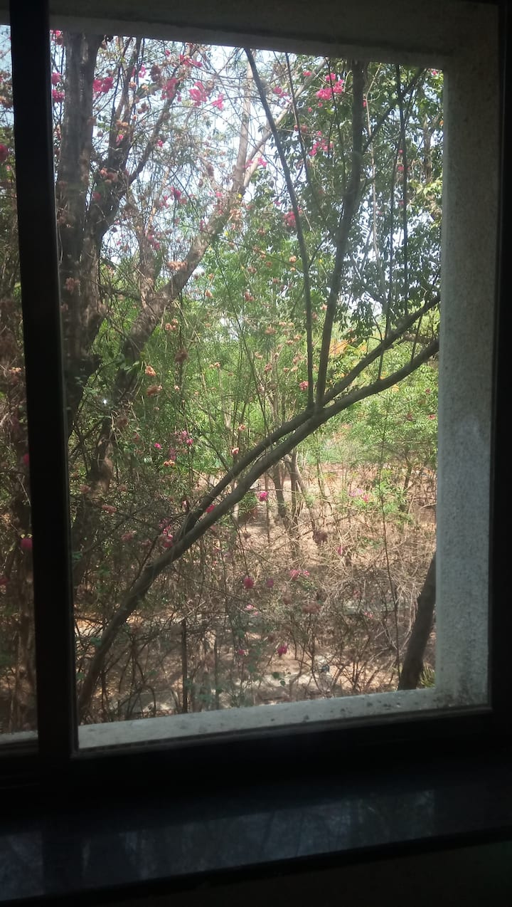 Tazama kutoka jikoni