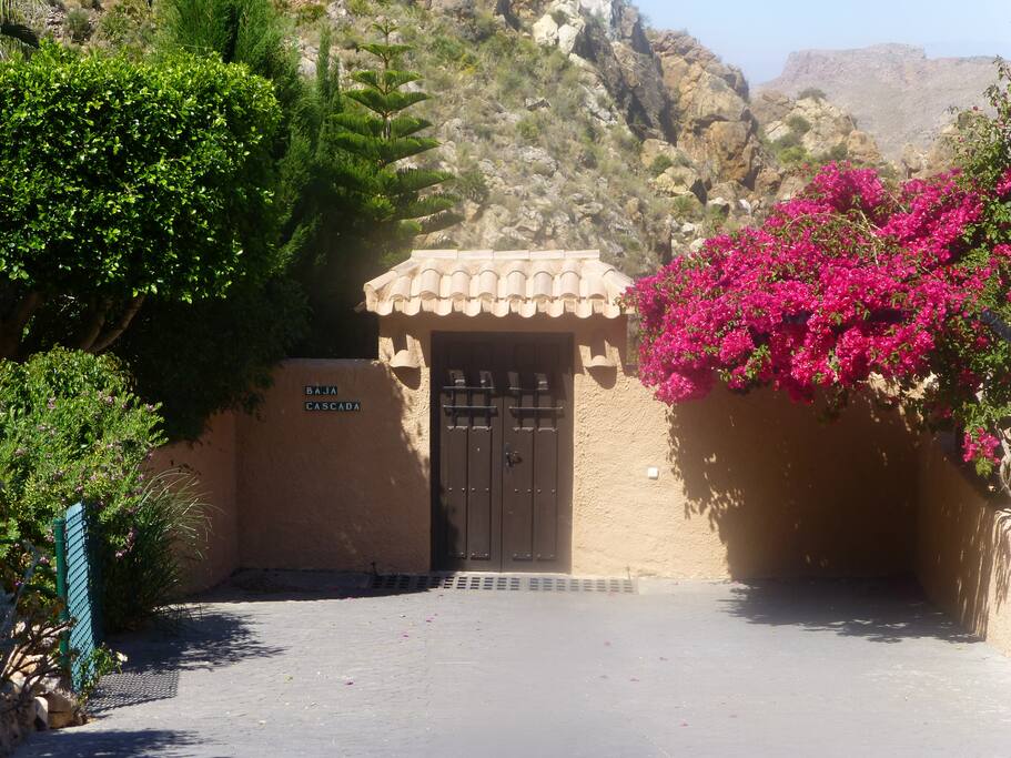 Entrance and Drive