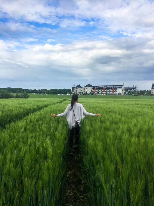 The fields behind the apartment